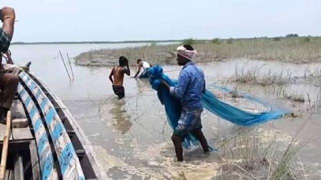 Bihar government will provide up to 60% subsidy on fish farming, apply by August 31; focus on conservation of native species