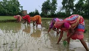 Two women who went to plant paddy in Bhagalpur mysteriously disappeared, NH-80 blocked on suspicion of murder