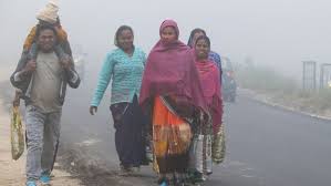 Weather changes in Bihar: Cold increases, fog and pollution increase problems