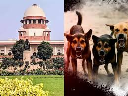New Delhi: The Supreme Court reserves its judgment on the stray dog ​​issue; questions raised regarding sterilization data and funding.