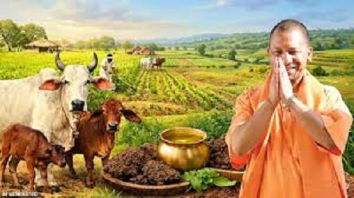 In UP, Cow Shelters to Become New Hubs for Employment and Natural Farming: Yogi Government's Major Initiative