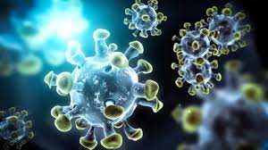 New virus found in China: Can a Covid-like pandemic come again from bats?