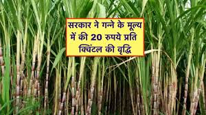 Major gift from the state government: Sugarcane price increased by Rs. 15-20 per quintal in Bihar, farmers to receive direct benefit.