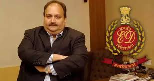 New Delhi: ED makes a major claim in the PNB scam case, alleging Rohan Choksi played an active role in money laundering.