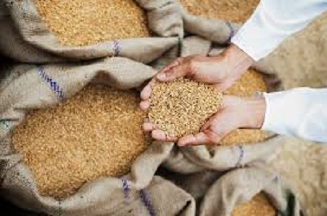 The central government has taken an important decision to reduce the wheat storage limit, in an attempt to control prices