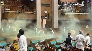 Parliament security lapse case: Delhi High Court grants bail to two accused, Delhi Police had opposed
