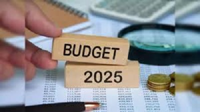 Upcoming Budget 2025-26: Possibility of cash transfer scheme for women, economists give their opinion