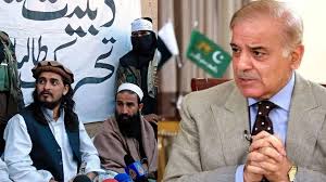 48-hour ceasefire on Pak-Afghan border, Shahbaz Sharif says talks possible if conditions are met